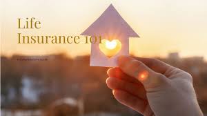 Understanding the Basics of Life Insurance